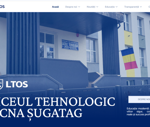 Liceul Tehnologic Ocna Șugatag